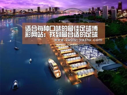 案例展示八