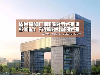 案例展示四
